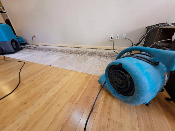 Professional Flood Damage Cleanup technician working in Sugarcreek, OH